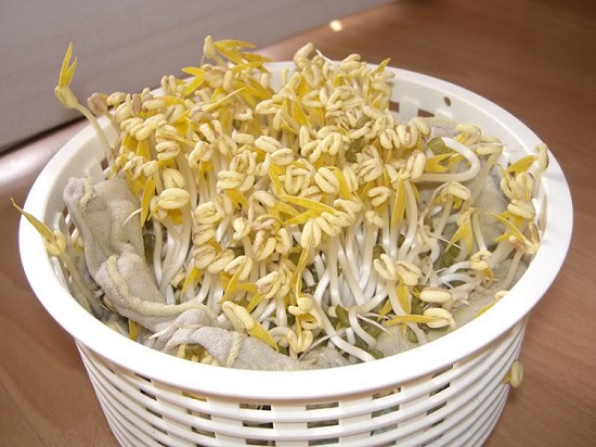 منتج